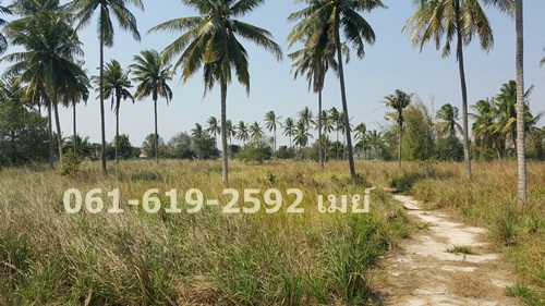 ·Թ 22  1 ҹ 12 .  ҹҹ Թ ѧѴШǺբѹ 061-619-2592 