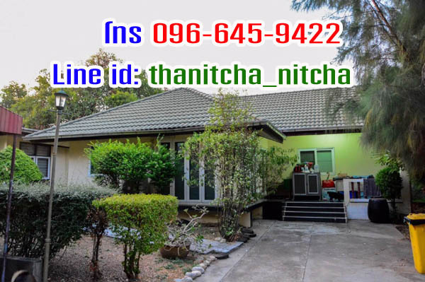 ·Թ 219 . ҹǪ 1 ѧ ˹ҡҧ 35.50  ֡ 25   Ϳ 