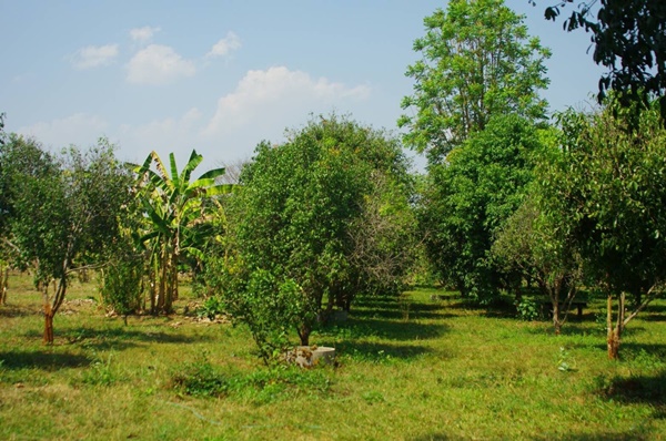 ขายที่ดิน 59ไร่ 2งาน ในเมือง จ.อุตรดิตถ์ สำหรับการลงทุนเพื่อหมู่บ้านจัดสรร ขายที่ดิน 59ไร่ 2งาน ในเมือง จ.อุตรดิตถ์ สำหรับการลงทุนเพื่อหมู่บ้านจัดสรร