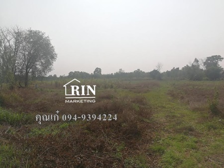 ขายที่นาประมาณ 21-3- 28 ไร่ หนองเรือ ขอนแก่น คุณเก๋ 094-939-4224 ขายที่นาประมาณ 21-3- 28 ไร่ หนองเรือ ขอนแก่น คุณเก๋ 094-939-4224