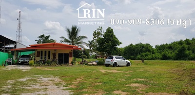 ��´�ǹ ���Թ��Ф� 090-909-8306 �ɰ�