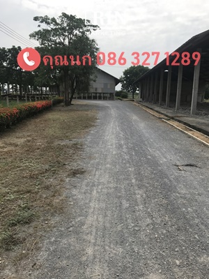 ��·��Թ ��û�� �ѧ��� 13 ��� 2 �ҹ 87 ��.�� �Դ����Ҵ�ҧ ��鶹�ྪ����                    