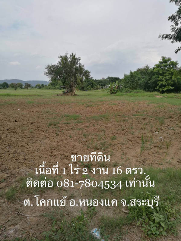 ��·��Թ ���ͷ�� 1 ��� 2 �ҹ 16 ���.