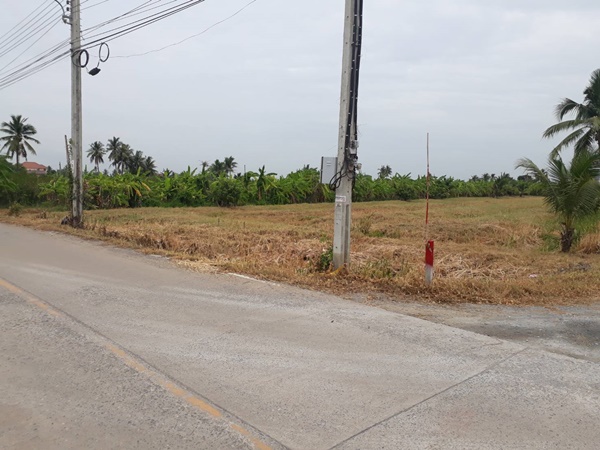 ขายที่ดินเปล่า 103 ตรว. 200 ตรว.และ 1 ไร่ ติดหมู่บ้านรติรัตน์ บางบัวทอง นนทบุรี ขายที่ดินเปล่า 103 ตรว. 200 ตรว.และ 1 ไร่ ติดหมู่บ้านรติรัตน์ บางบัวทอง นนทบุรี
