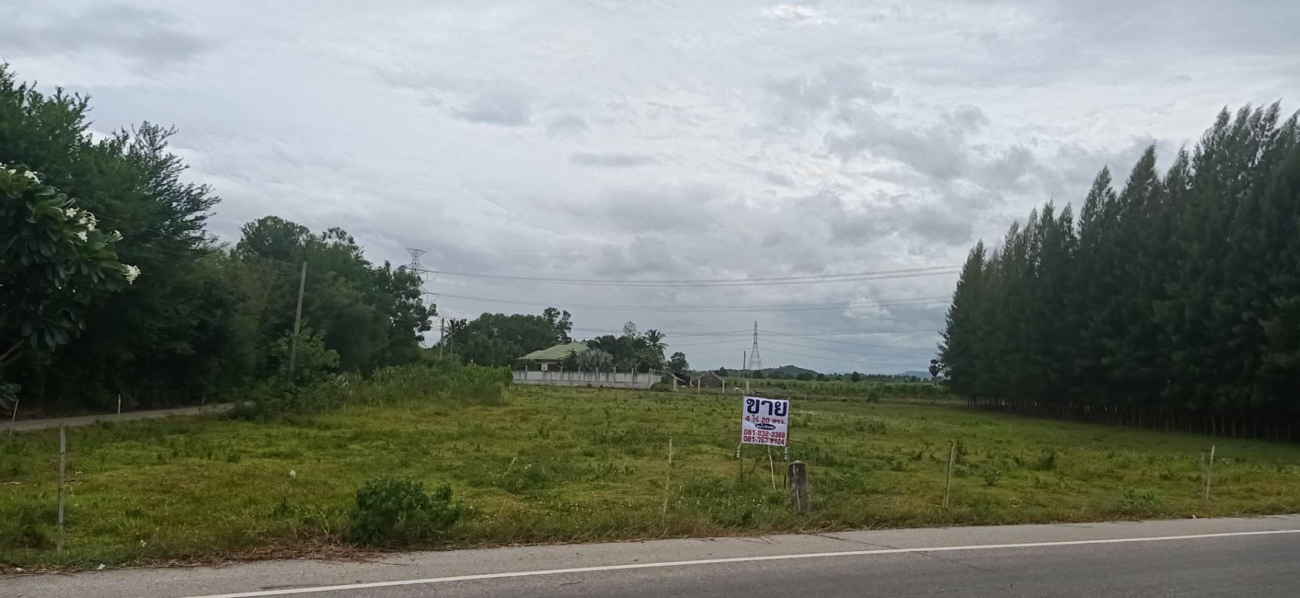 ขายที่ดินแปลงสวย 4 ไร่ 20 ตรว. อ.จอมบึง ราชบุรี ขายที่ดินแปลงสวย 4 ไร่ 20 ตรว. อ.จอมบึง ราชบุรี