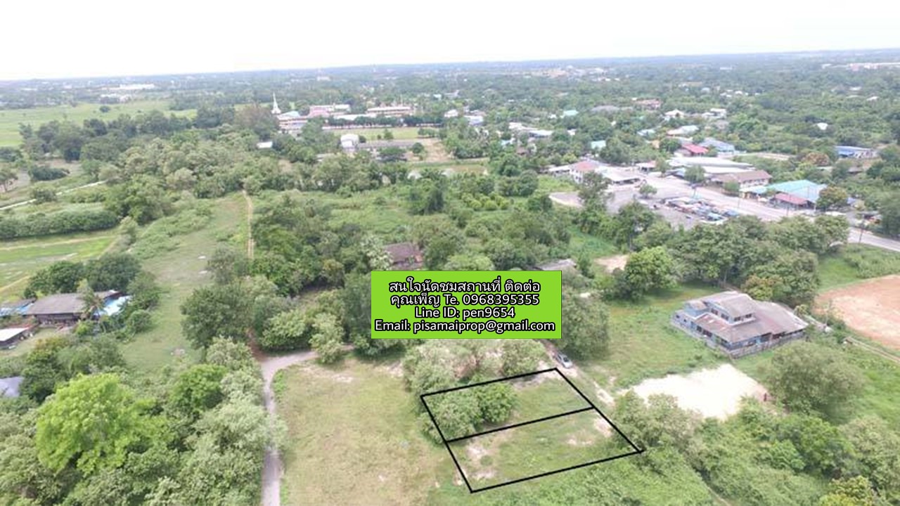 PH498 ขายที่ดิน 100 ตร.ว. PH498 ขายที่ดิน 100 ตร.ว.