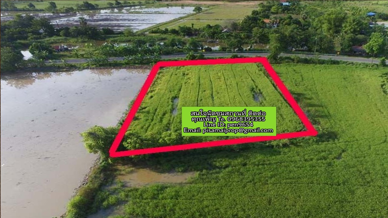 PH499 ขายที่ดิน 2 ไร่ เขตเทศบาลนครนายก PH499 ขายที่ดิน 2 ไร่ เขตเทศบาลนครนายก