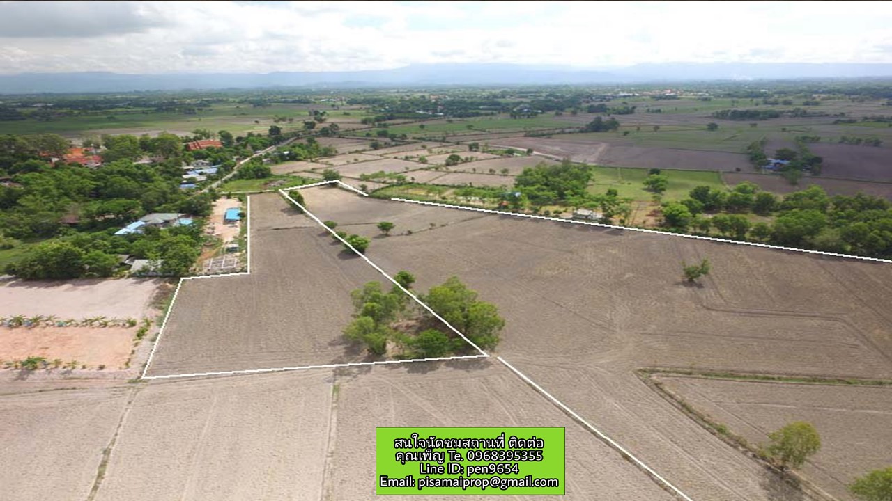 PH500 ขายที่ดินมีโฉนด เนื้อที่ 29 ไร่ 2 งาน 95 ตร.ว. PH500 ขายที่ดินมีโฉนด เนื้อที่ 29 ไร่ 2 งาน 95 ตร.ว.