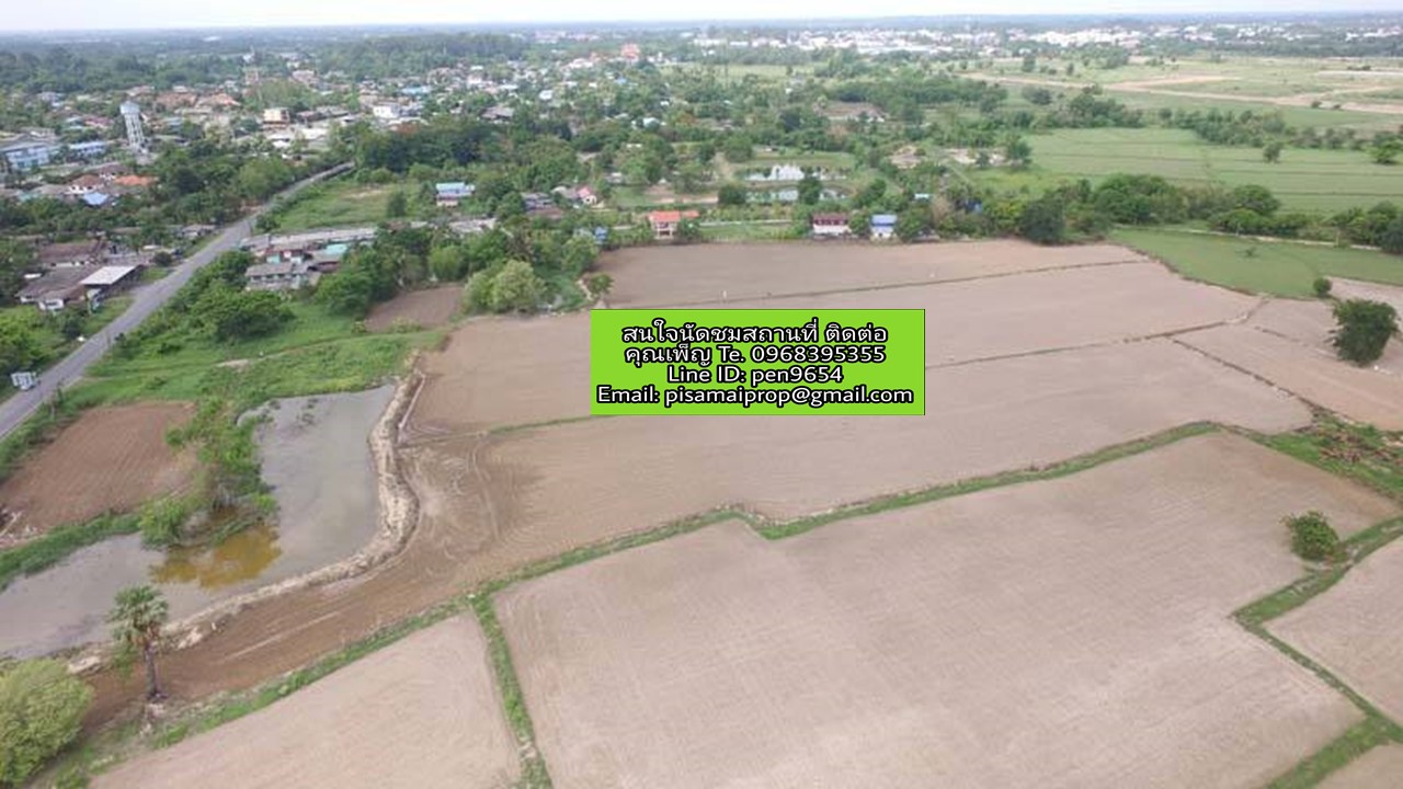 PH503 ขายยกแปลงที่ดิน 22 ไร่ 1 งาน 95 ตารางวา มีโฉนด PH503 ขายยกแปลงที่ดิน 22 ไร่ 1 งาน 95 ตารางวา มีโฉนด