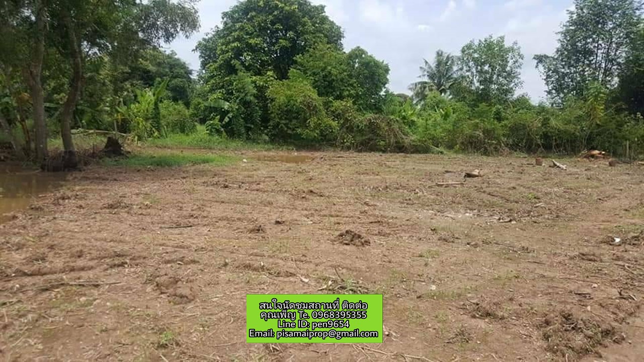 PH506 ขายที่ดินมีโฉนด เขตเทศบาลเมืองนครนายก มีสองแปลงติดกัน PH506 ขายที่ดินมีโฉนด เขตเทศบาลเมืองนครนายก มีสองแปลงติดกัน