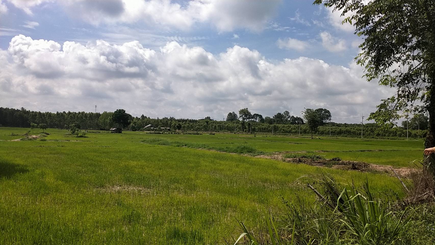 ยกเลิกประกาศ ยกเลิกประกาศ