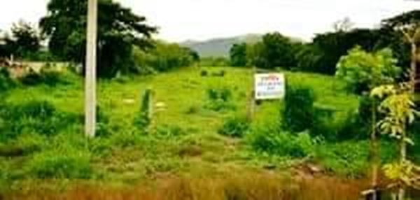 ขายที่ดิน เมืองลำปาง ตำบลพิชัย ติดถนนใหญ่ อยู่ในแหล่งชุมชน เดินทางสะดวก ใกล้ตัวเมือง ขายที่ดิน เมืองลำปาง ตำบลพิชัย ติดถนนใหญ่ อยู่ในแหล่งชุมชน เดินทางสะดวก ใกล้ตัวเมือง