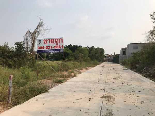 ขายที่ดิน ซอยเพิ่มสิน 66 ออเงิน เขตสายไหม 3 ไร่ ติดถนน 300 ม. ลึก 40 ม. ติดถนนคอนกรีตกว้าง 6 เมตร แบ่งขายได้ โทร 0863212561 ขายที่ดิน ซอยเพิ่มสิน 66 ออเงิน เขตสายไหม 3 ไร่ ติดถนน 300 ม. ลึก 40 ม. ติดถนนคอนกรีตกว้าง 6 เมตร แบ่งขายได้ โทร 0863212561