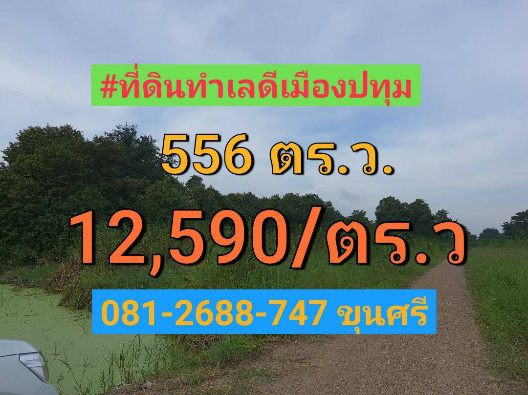 ขายที่ดินบางเดื่อ 556 ตารางวา ถนนปทุมธานีสายนอก อำเภอ เมืองปทุมธานี จังหวัด ปทุมธานี ขายที่ดินบางเดื่อ 556 ตารางวา ถนนปทุมธานีสายนอก อำเภอ เมืองปทุมธานี จังหวัด ปทุมธานี