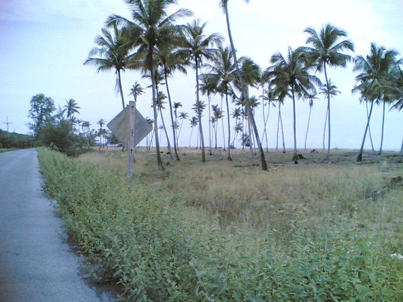 ขายที่ดินติดทะเล หาดตะโละกะโปร์ 24 ไร่ แหลมโพธิ์ อ.ยะหริ่ง ปัตตานี. ขายที่ดินติดทะเล หาดตะโละกะโปร์ 24 ไร่ แหลมโพธิ์ อ.ยะหริ่ง ปัตตานี.