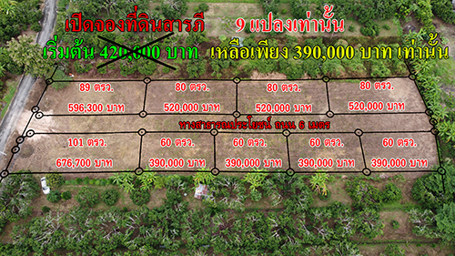ที่ดินแบ่งขาย อำเภอสารภี ราคาถูก!! ที่ดินแบ่งขาย อำเภอสารภี ราคาถูก!!