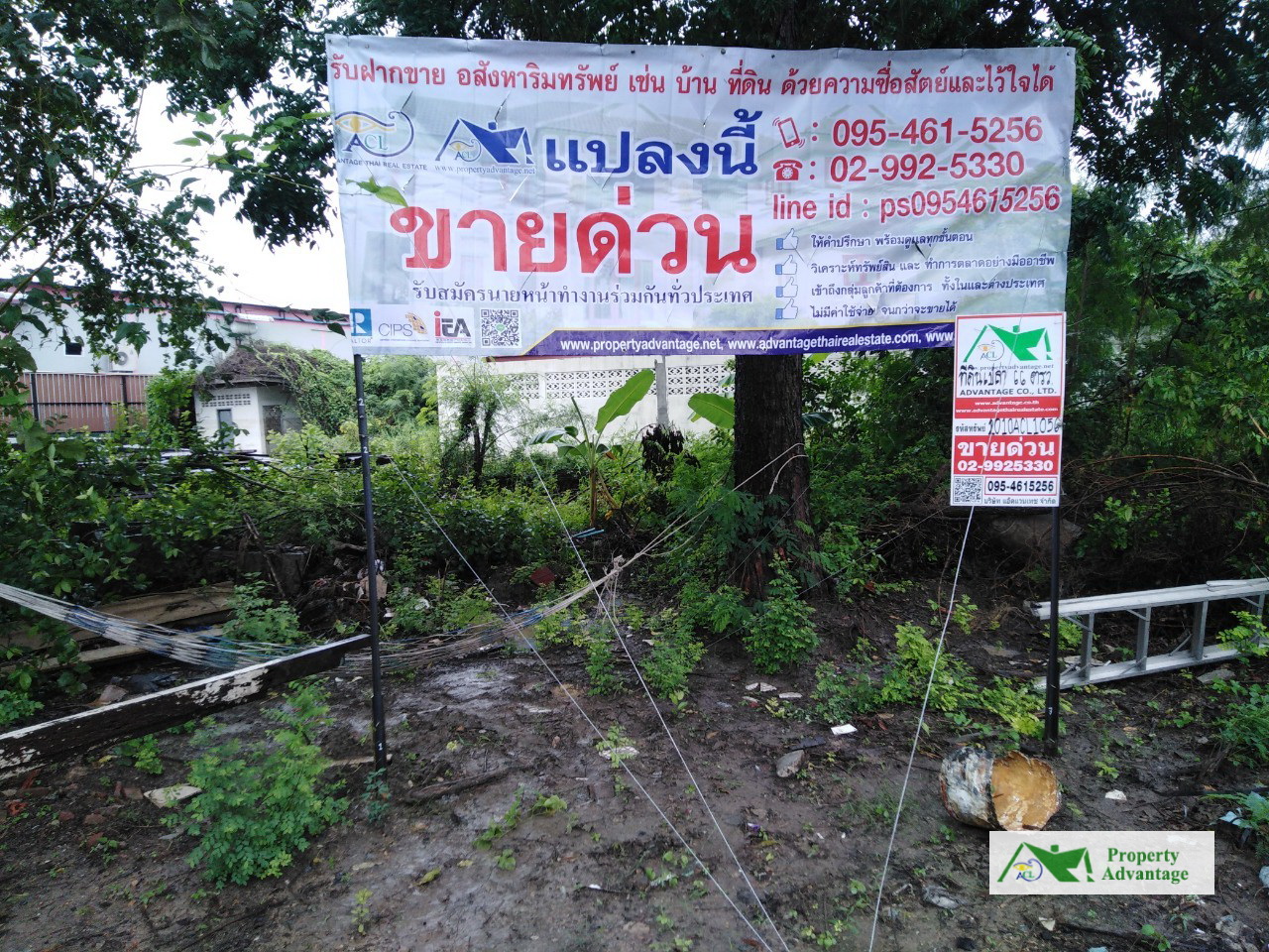 ขายแล้ว ขายแล้ว