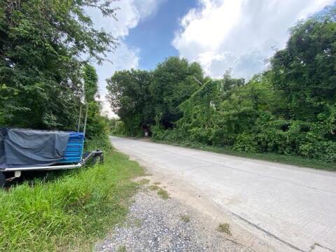 ขายที่ดินบางแสน ชลบุรี สาย 2 ซอย19 ขายที่ดินบางแสน ชลบุรี สาย 2 ซอย19