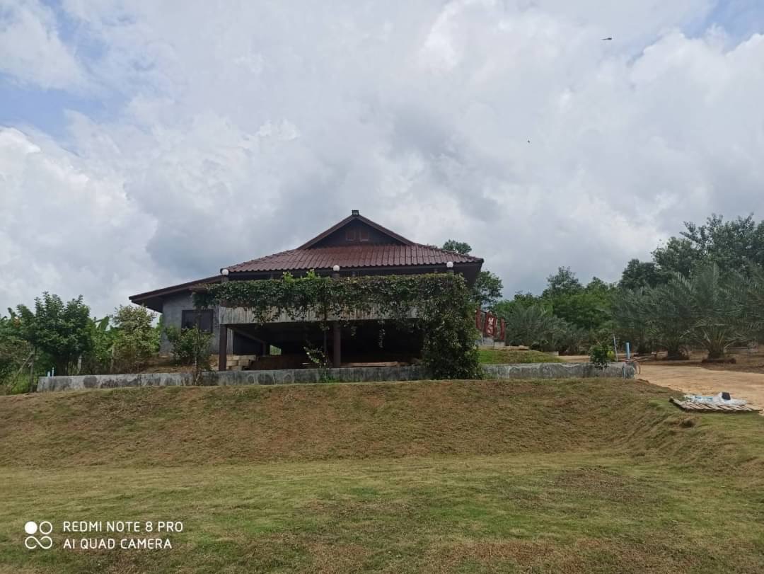 บ้านสวยปลูกสไตล์โมเดิร์น บ้านเดี่ยวพร้อมที่ดิน วังน้ำเขียว นครราชสีมา บ้านสวยปลูกสไตล์โมเดิร์น บ้านเดี่ยวพร้อมที่ดิน วังน้ำเขียว นครราชสีมา