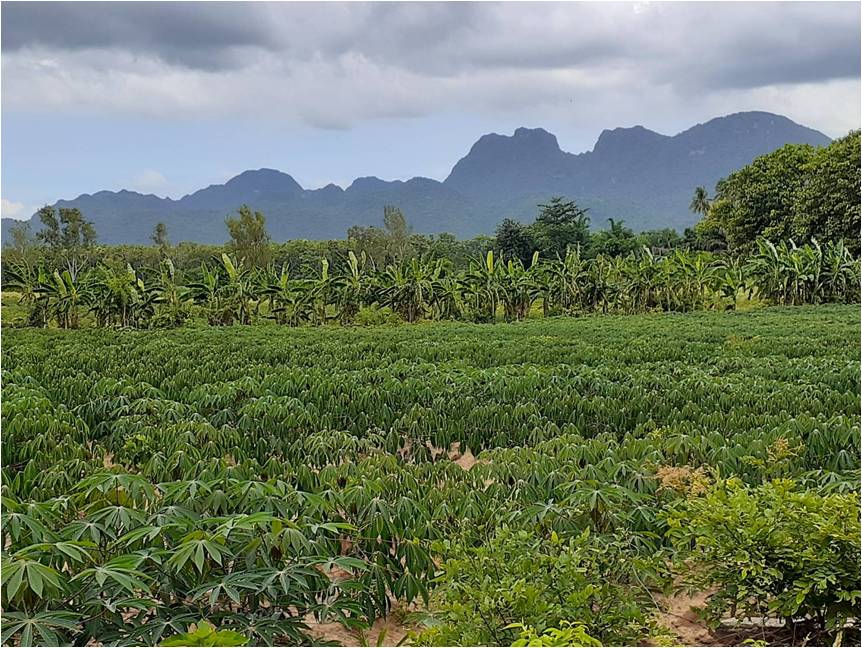 ��·����¹.�.3�.16���Դ����ӻ���ҳ100��������駹��������������俿�һ�лҾ����������ͧ���Ǩӹǹ�ҡ��ҧ��ӵ����¤����6�.�.��ҹ�鹢�������6.8�ʹ.