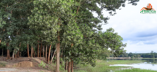 ขายที่ดิน 224 ตารางวา ใกล้เขาคิชฌกุฏ ขายที่ดิน 224 ตารางวา ใกล้เขาคิชฌกุฏ