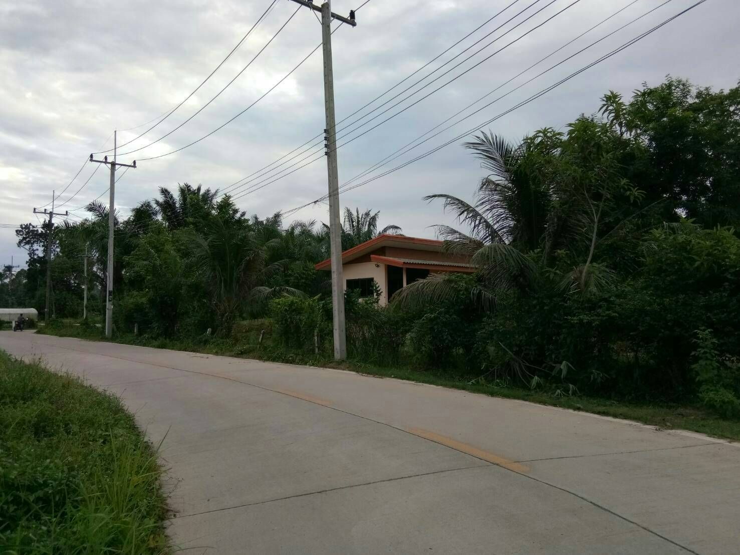 ขายบ้านพร้อมที่ดิน ชุมพร อ.เมืองชุมพร วังไผ่ 10ไร่ 17.2วา 33ล T0940457914 ขายบ้านพร้อมที่ดิน ชุมพร อ.เมืองชุมพร วังไผ่ 10ไร่ 17.2วา 33ล T0940457914