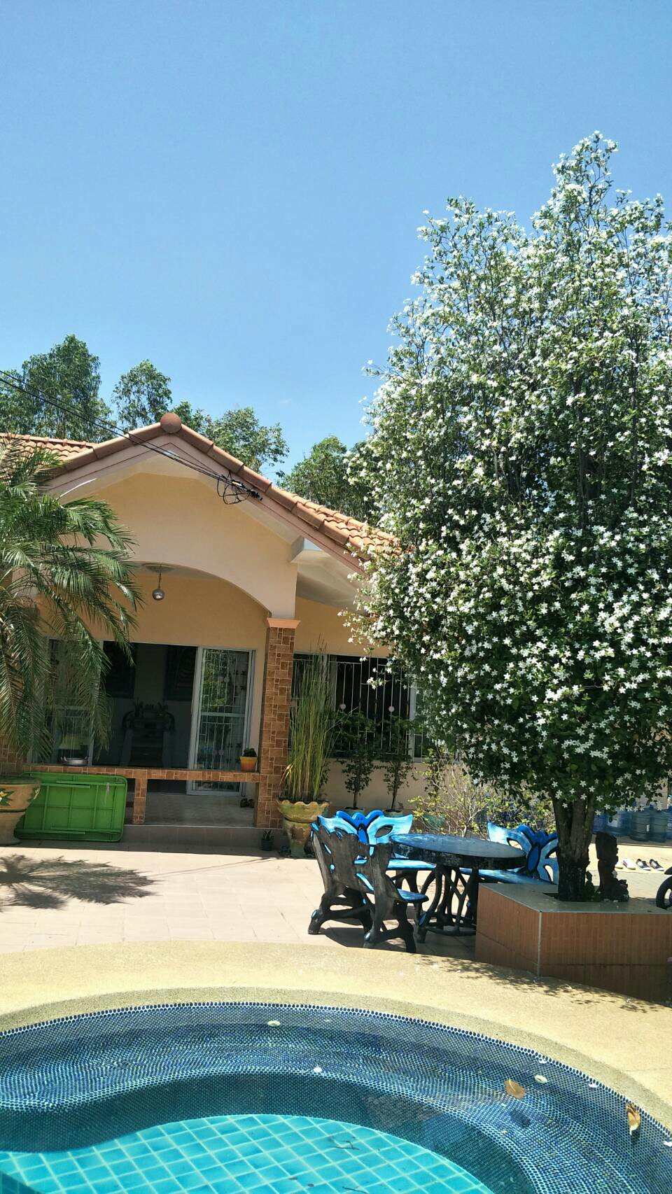 ขายด่วนๆบ้านเดี่ยว ระยอง บ้านฉาง ติดทะเล 358วา 5.99ล T.094-045-7914 ขายด่วนๆบ้านเดี่ยว ระยอง บ้านฉาง ติดทะเล 358วา 5.99ล T.094-045-7914