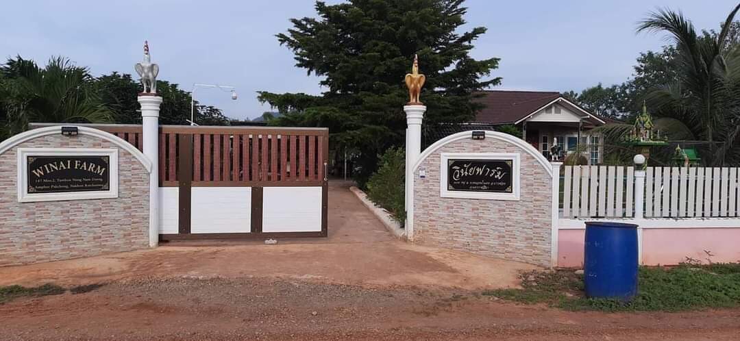 ขายด่วนบ้านพร้อมที่ดิน จ.นครราชสีมา ปากช่อง 399ตรว 5.5ล T0940457914 ขายด่วนบ้านพร้อมที่ดิน จ.นครราชสีมา ปากช่อง 399ตรว 5.5ล T0940457914