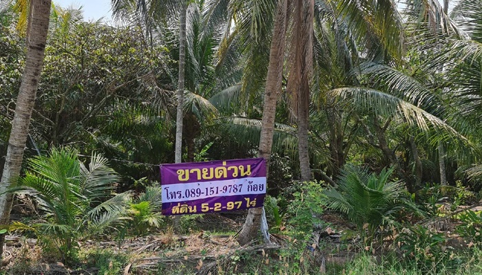 ǹ ·Թ ǹǧ 5-2-97  .ǹ Ҵзẹ ١ҡ з⡴ѧԹ