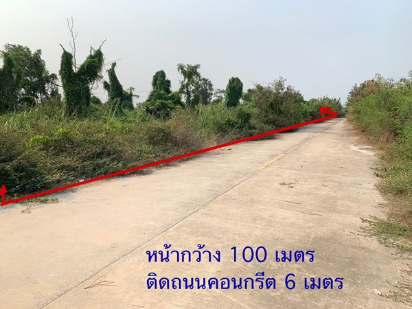 ขายที่ดินเปล่า 2 ไร่ ลำลูกกาคลอง 12 ติดถนนคอนกรีตกว้าง 6 เมตร โทร 0863171795 ขายที่ดินเปล่า 2 ไร่ ลำลูกกาคลอง 12 ติดถนนคอนกรีตกว้าง 6 เมตร โทร 0863171795