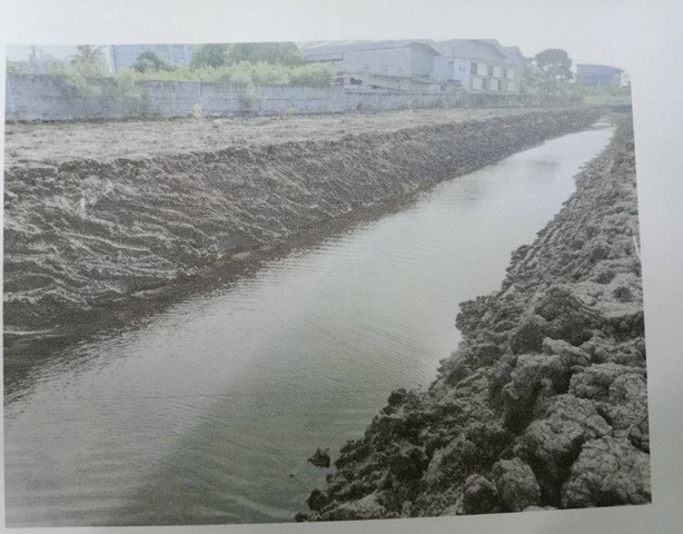 ที่ดิน ที่ดินติดถนนวัดศรีวารีน้อย 8 Rai 2 งาน 85 ตร.ว. สนั่นวงการ สมุทรปราการ ที่ดิน ที่ดินติดถนนวัดศรีวารีน้อย 8 Rai 2 งาน 85 ตร.ว. สนั่นวงการ สมุทรปราการ