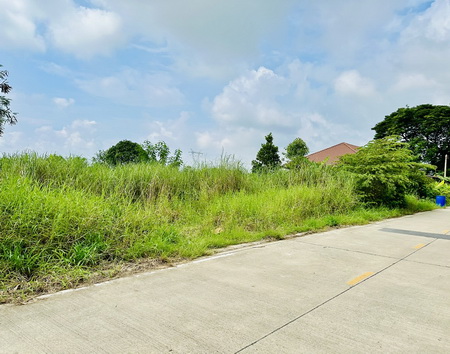 ���Թ���� 80 ���ҧ��  �֧�͹  ˹ͧ���� �.�����ҹ� 