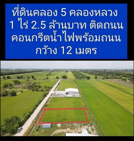 TD541 ขายที่ดินแปลงงาม : ปทุมธานี TD541 ขายที่ดินแปลงงาม : ปทุมธานี