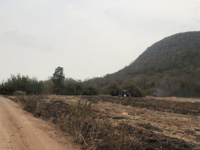 โปรดีพอใจผู้ซื้อขายเงื่อนไขสุดพิเศษ ขายอสังหาริมทรัพย์ ที่ดินติด โปรดีพอใจผู้ซื้อขายเงื่อนไขสุดพิเศษ ขายอสังหาริมทรัพย์ ที่ดินติด