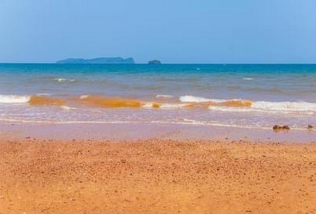 �Թ�Դ���� �Ҵ���ᴧ ����� 3.5 ��ҹ�ҷ 