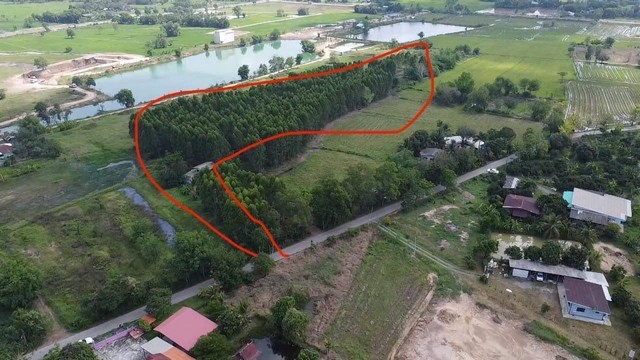 ขายที่ดิน บ้านหนองโพธิ์-สบกเขียว ขายที่ดิน บ้านหนองโพธิ์-สบกเขียว