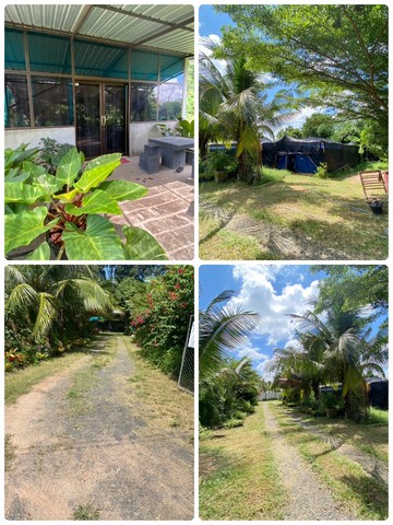 ขายบ้านพร้อมที่ดินและกิจการฟาร์มเห็ดฟาง อำเภอโนนดินแดง บุรีรัมย์ ขายบ้านพร้อมที่ดินและกิจการฟาร์มเห็ดฟาง อำเภอโนนดินแดง บุรีรัมย์