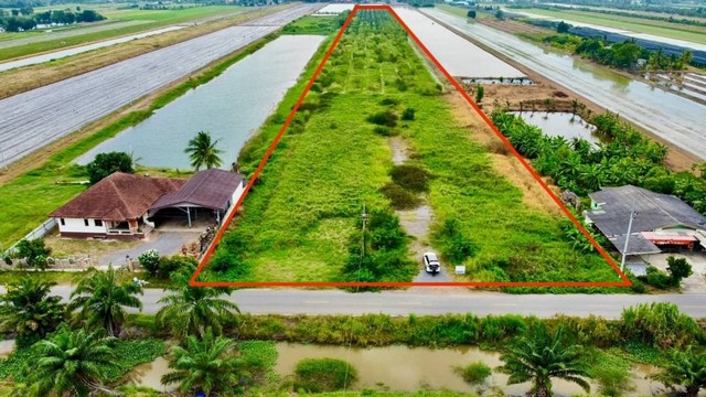 ขายด่วน ทึ่ดินคลอง7 หนองเสือ ปทุมธานี ที่ดินแปลงสวยคลอง7 ขายด่วน ทึ่ดินคลอง7 หนองเสือ ปทุมธานี ที่ดินแปลงสวยคลอง7