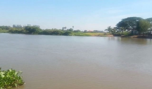 ขายที่ติดแม่น้ำบางปะกง 24 ไร่เศษ ต.บางยาง อ.บ้านสร้าง จ.ปราจีนบุ ขายที่ติดแม่น้ำบางปะกง 24 ไร่เศษ ต.บางยาง อ.บ้านสร้าง จ.ปราจีนบุ