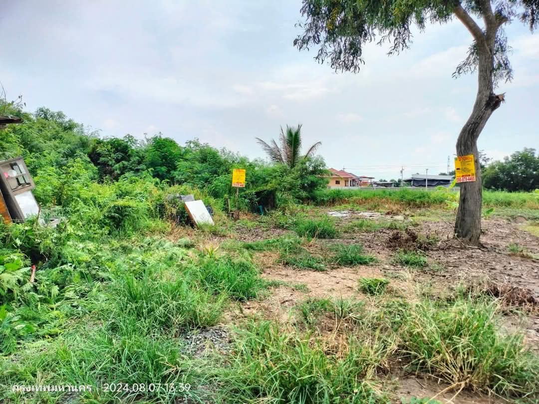 EP.���� ��¶١���Թ�����Ъ����ҭ 110 ���ҧ�� ������ �ŧ��� �Դ����Ҹ�ó� ��� �ط��ѡ�� ˹ͧ�͡ ���.#095-879-4465