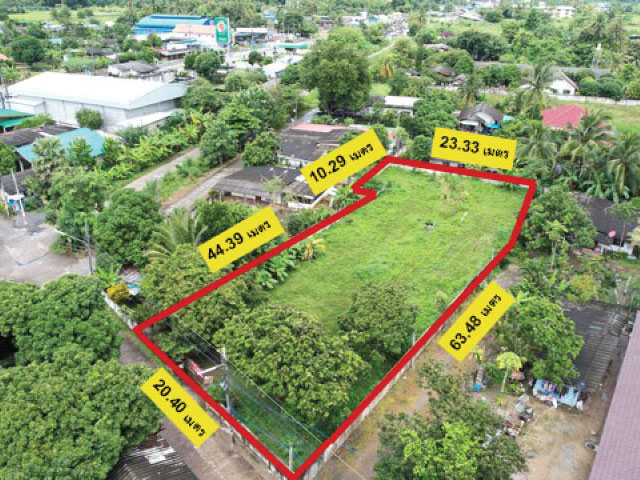 ขายที่ดินสวย 314 ตร.ว ต.ขี้เหล็ก อ.แม่ริม จ.เชียงใหม่ ขายที่ดินสวย 314 ตร.ว ต.ขี้เหล็ก อ.แม่ริม จ.เชียงใหม่