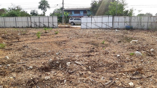 ขาย ที่ดิน 2 ไร่ 18 ตร.วา ติดถนนใกล้เมืองปทุม ถมแล้ว (3) ขาย ที่ดิน 2 ไร่ 18 ตร.วา ติดถนนใกล้เมืองปทุม ถมแล้ว (3)