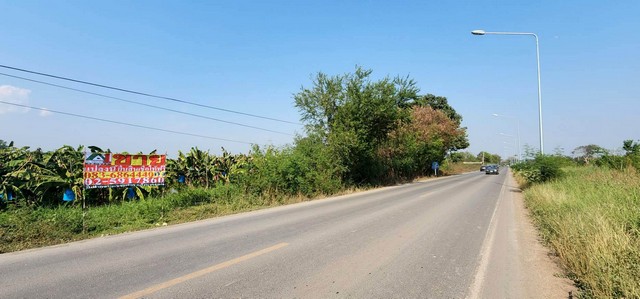 ที่ดิน ติดถนน 1052 ต.หนองโรง อ.หนองแค จ.สระบุรี ที่ดิน ติดถนน 1052 ต.หนองโรง อ.หนองแค จ.สระบุรี