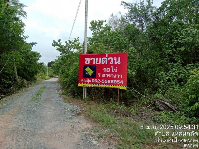 ขายที่ตราด ที่เปล่าแหลมกลัด ใกล้น้ำตกสะพานหิน ขายที่ตราด ที่เปล่าแหลมกลัด ใกล้น้ำตกสะพานหิน