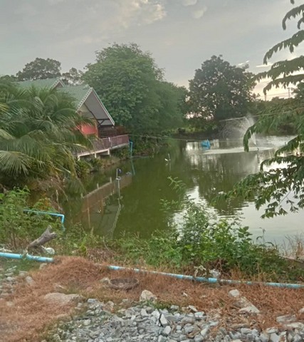 บ้านชั้นเดี่ยว เล่นระดับ 50ตรว. วิวบ่อปลา อยู่อ.บางเลน นครปฐม บ้านชั้นเดี่ยว เล่นระดับ 50ตรว. วิวบ่อปลา อยู่อ.บางเลน นครปฐม