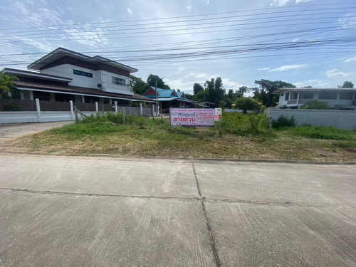 ขายที่ดินเปล่า 200 ตารางวา ต.ไม้งาม อ.เมือง จ.ตาก ขายที่ดินเปล่า 200 ตารางวา ต.ไม้งาม อ.เมือง จ.ตาก