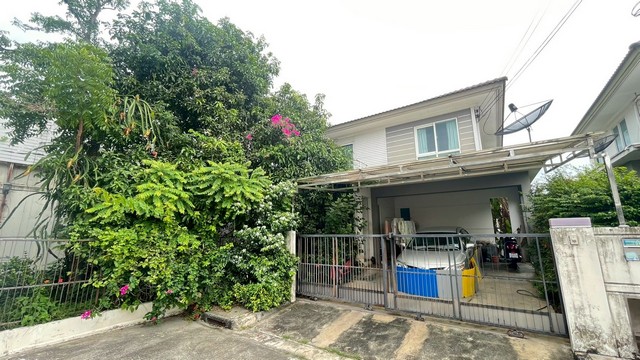 ขายบ้านเดี่ยว หมู่บ้านชัยพฤกษ์ วัชรพล L&H หลังริม ถูกสุดในย่านนี ขายบ้านเดี่ยว หมู่บ้านชัยพฤกษ์ วัชรพล L&H หลังริม ถูกสุดในย่านนี