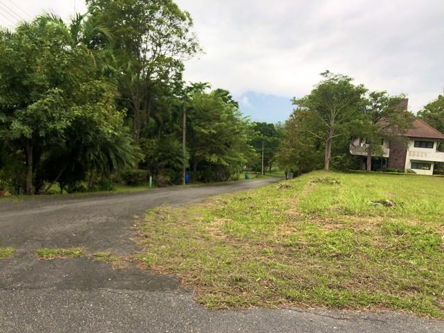 ขายที่ดิน 470 ตร.ว.ในสนามกอล์ฟเซอร์เจมส์คันทรีคลับ Forest Hill ขายที่ดิน 470 ตร.ว.ในสนามกอล์ฟเซอร์เจมส์คันทรีคลับ Forest Hill