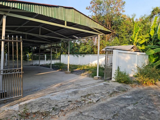 โปรปลายปีรับลมหนาวมาแล้ว ขาย/เช่า บ้าน90วา อ.บางใหญ่ จ.นนทบุรี โปรปลายปีรับลมหนาวมาแล้ว ขาย/เช่า บ้าน90วา อ.บางใหญ่ จ.นนทบุรี