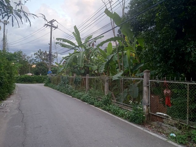 ขายที่ดิน451ว. 10ล. เยื้องปตท. ถ.ต้นยาง หนองผึ้ง สารภี เชียงใหม่ ขายที่ดิน451ว. 10ล. เยื้องปตท. ถ.ต้นยาง หนองผึ้ง สารภี เชียงใหม่